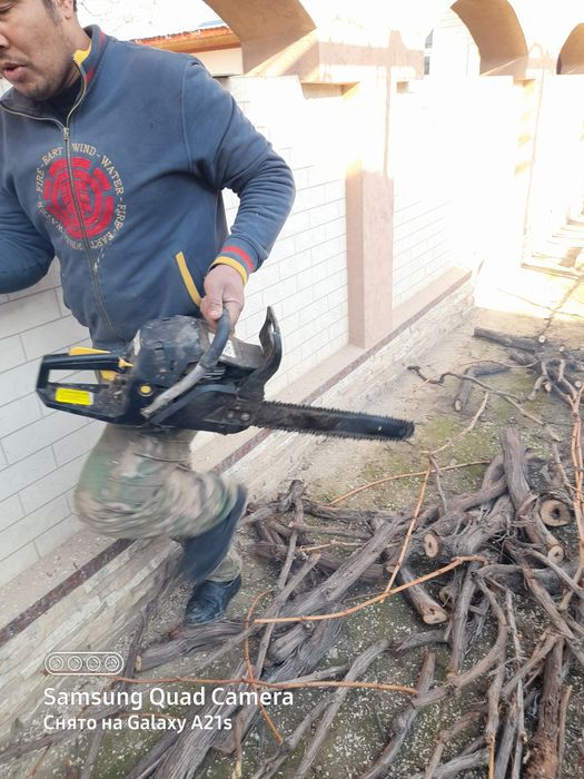 Daraxt kesish xizmati  дарахт кесамиз