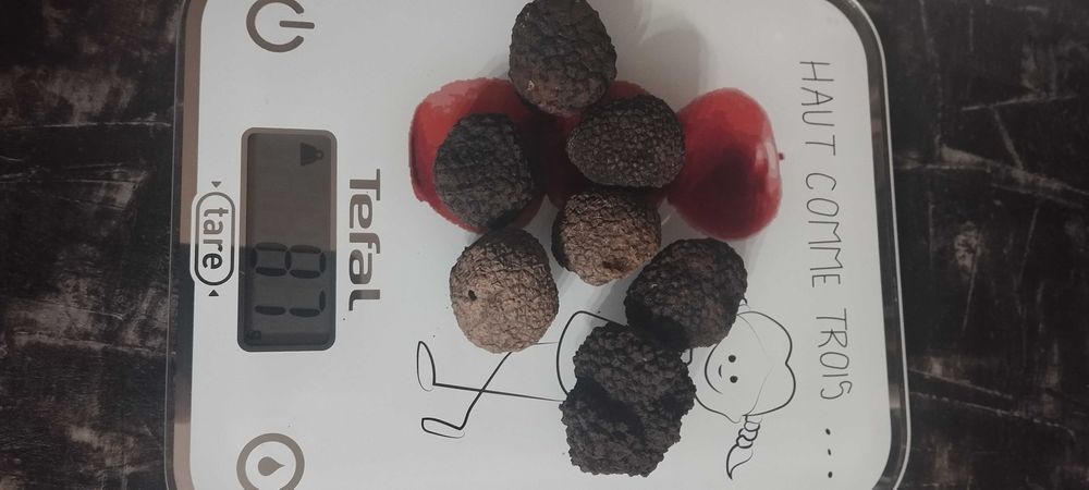 Черен Есенен Трюфел