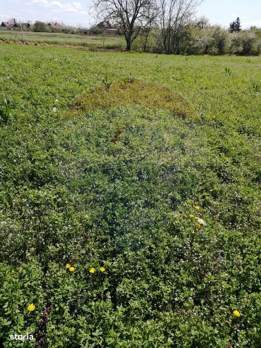 De vânzare teren intravilan, 6574 mp în Leș