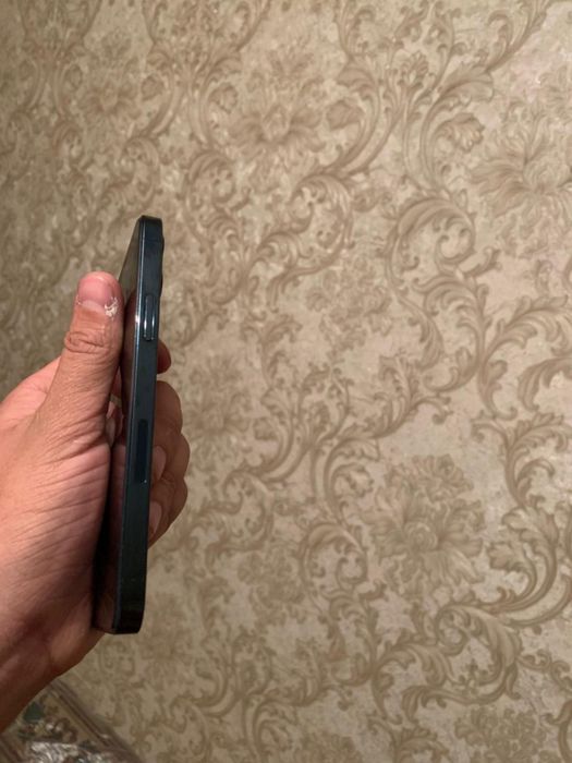 iPhone    12.  Про