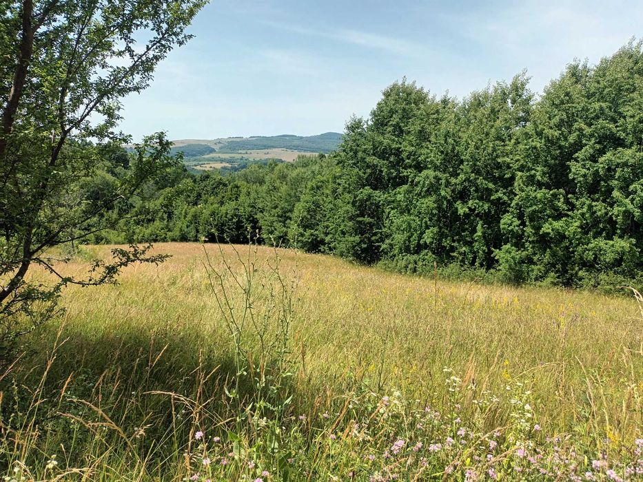 Teren in Capet, Sovata 2500mp