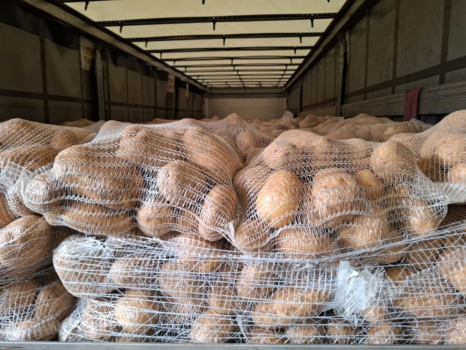 Vânzare direct Franța