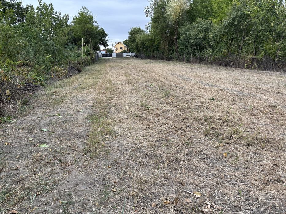 Vand teren  in Curtisoara