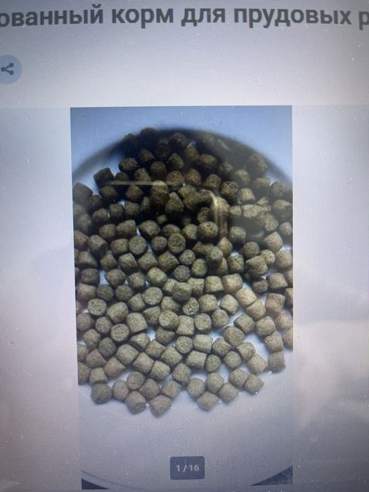 Полнорационный экструдированный Корм для рыб (форель, осетр, карп)