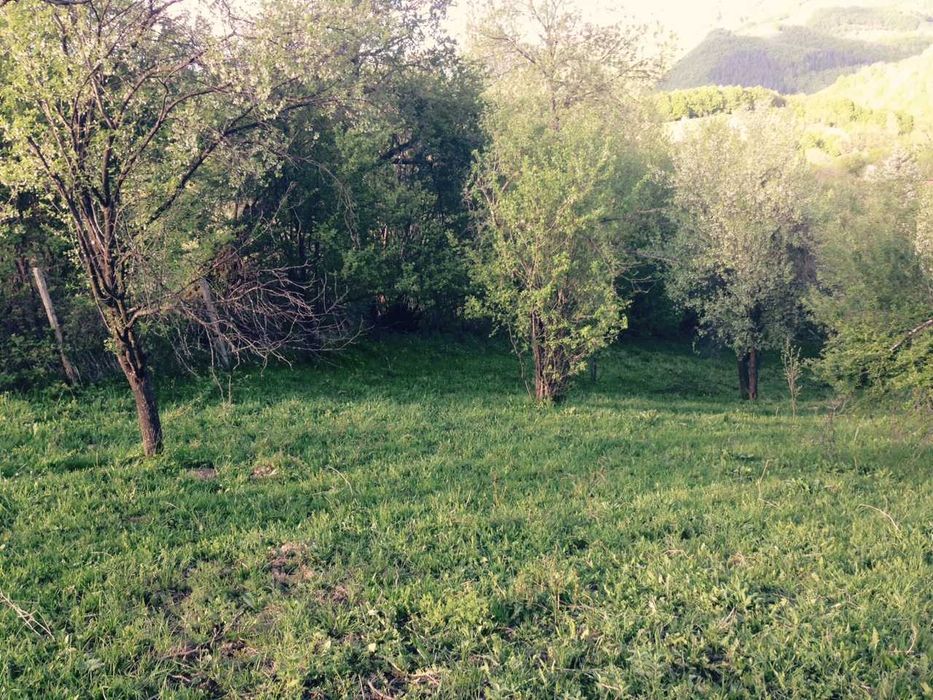 Поземлен имот в с. Ямна, Етрополе
