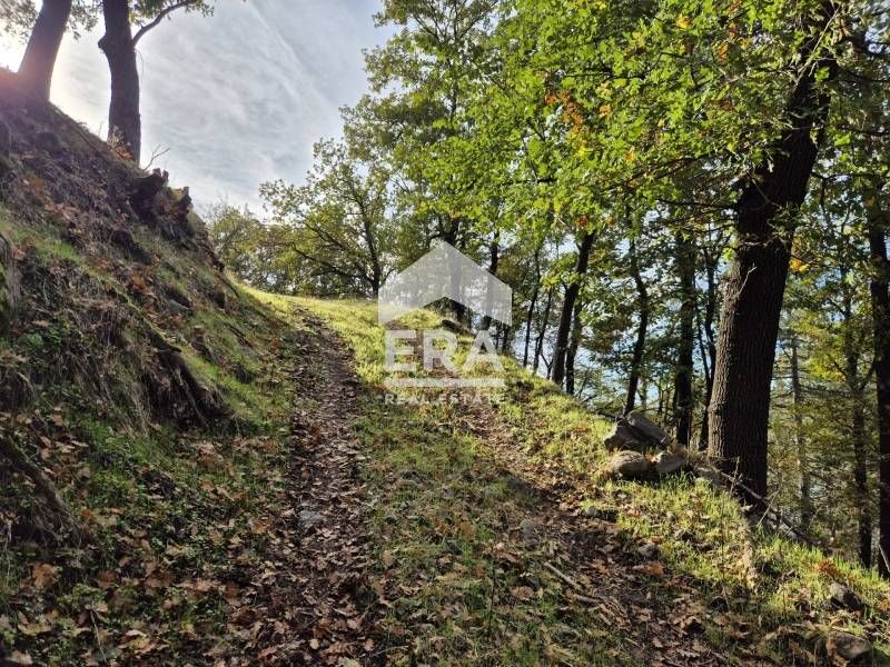 Продава се Парцел в с. Гургулица, Област Кърджали - 3342 кв.м за 50 €/кв.м - Снимка #4