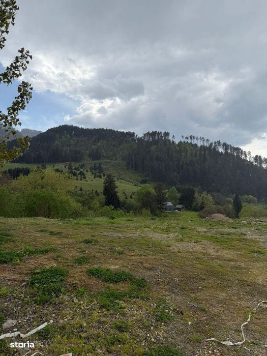 Teren, 500 mp, Sacele, str. Morii, priveliste spre Brasov