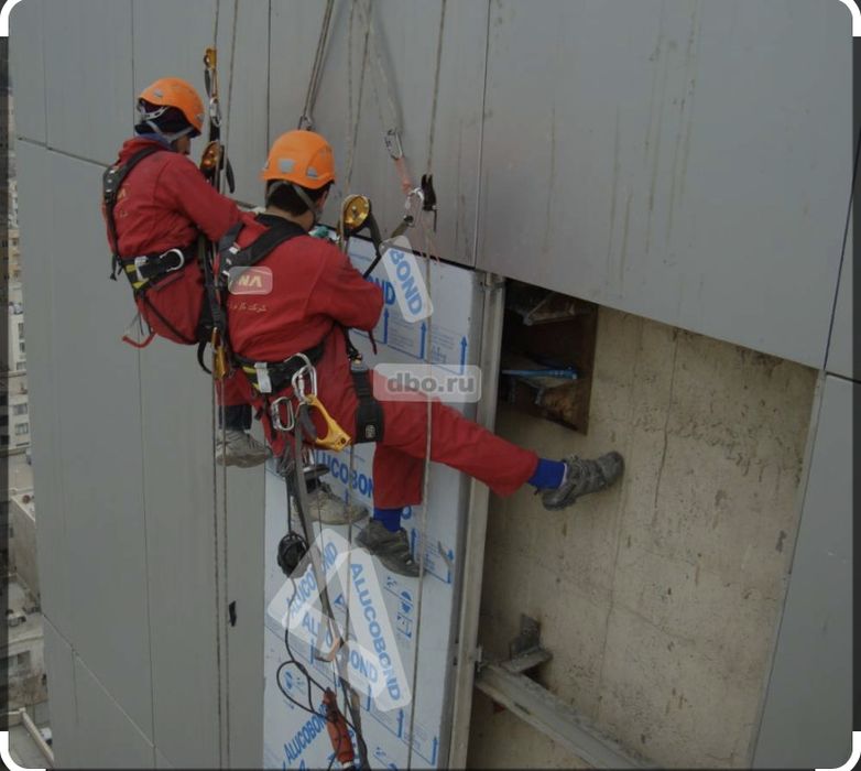 Альпенисты Альпинисты