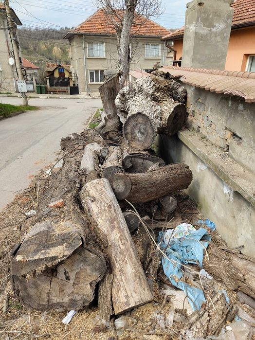 Трупи Дървен материал