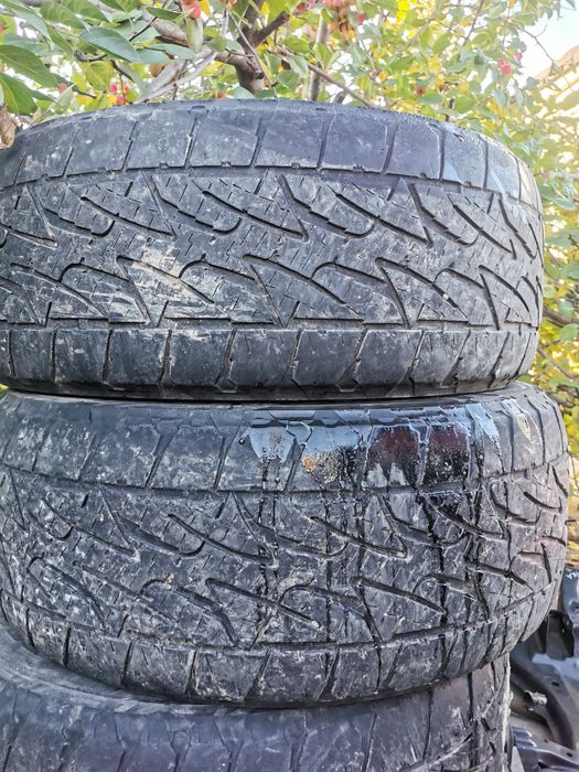 Шины Bridgestone