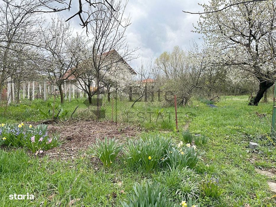 Teren intravilan 1270 mp Spitalul TBC | Dealuri Oradea