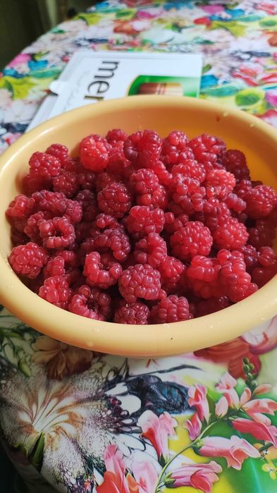 Продам дачу Каучук