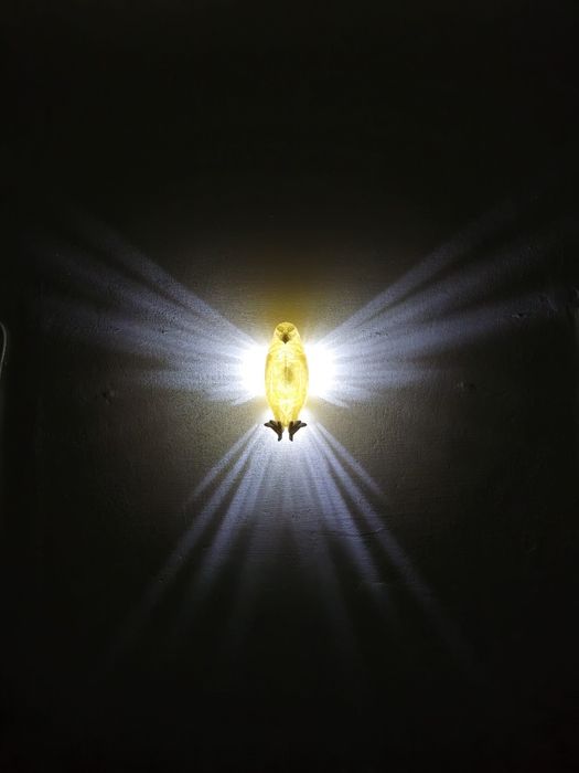 Lampa 3D luminata perete print cadou sarbatori bufnita vultur leu cerb