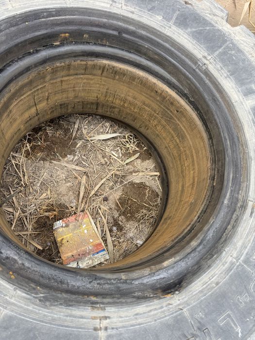 шины для спецтехники  20,5-25