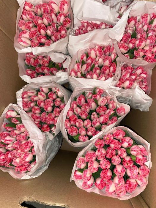 Тюльпаны в сумках