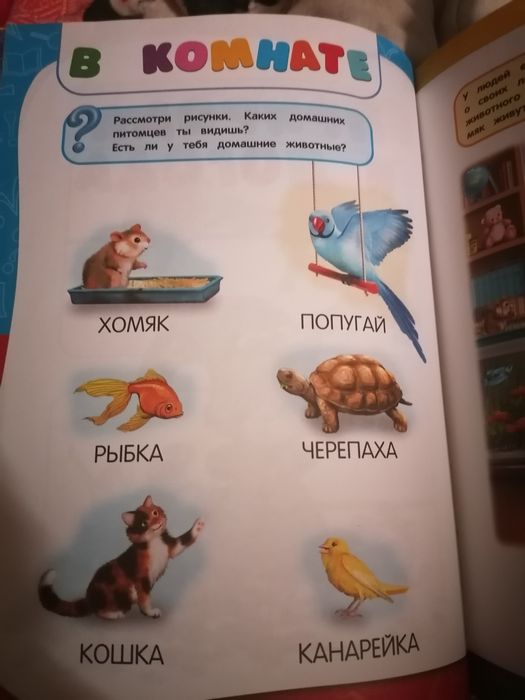 Обучающая книга для дошколят, алфавит