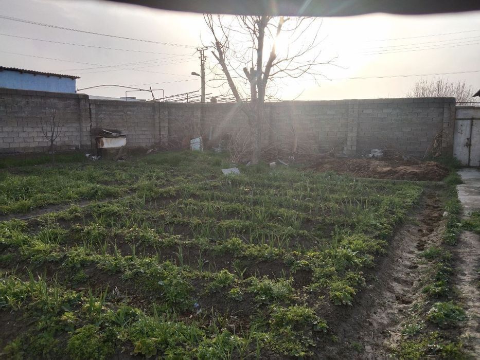 Продажа дача корасув Uzbankinty