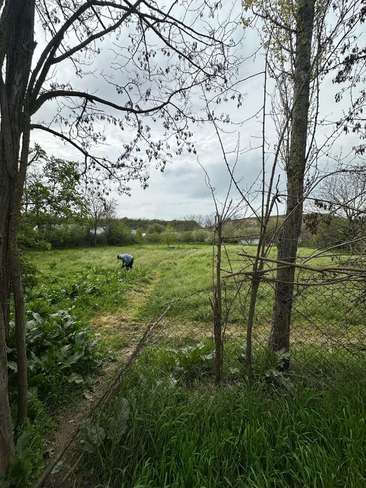 Vând teren intravilan Cosereni/ Boranesti