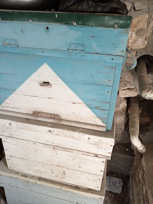 Asalari yashiklari b/u