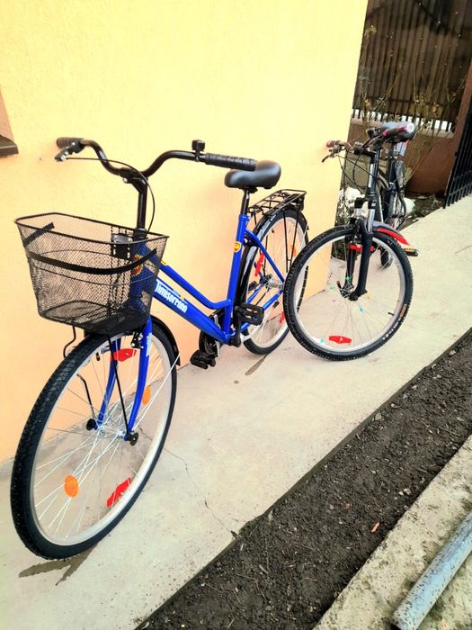 Bicicleta timisoreana