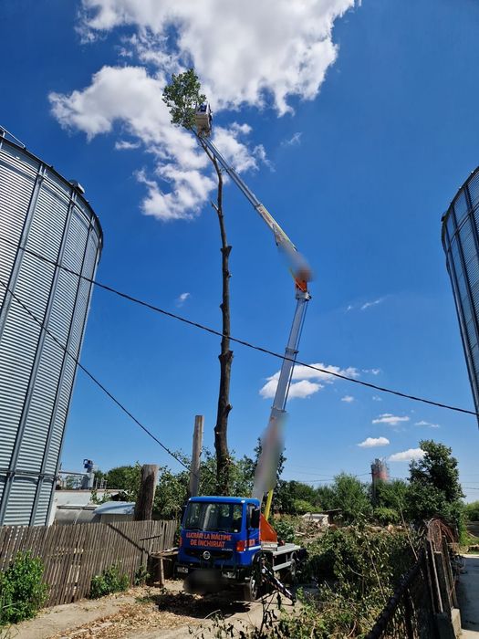 Tăierii Arbori/Alpinism Utilitar/Toaletare/Fasonare Copacii/Rapid.