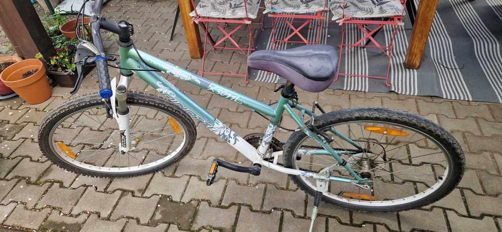 Bicicleta 26'' Dinotti