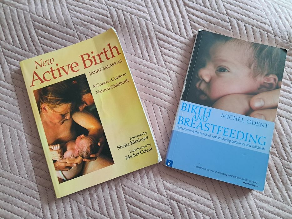 Lot 2 cărți sarcină, naștere și alăptare copil.  Ghiduri extraordinare