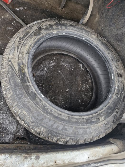 Продам шину камаевро р15