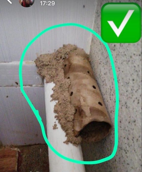 Термитке қарсы у (Антитермит приманка)