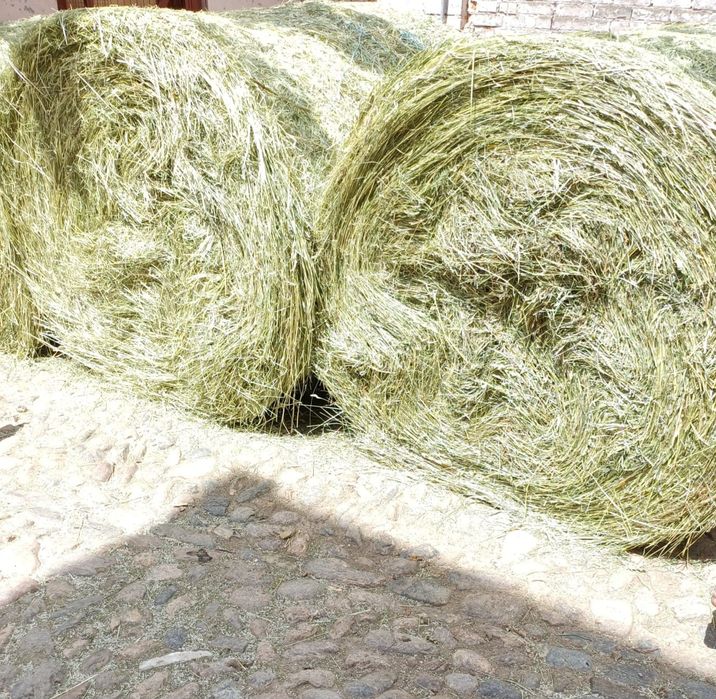 Baloți de fân și