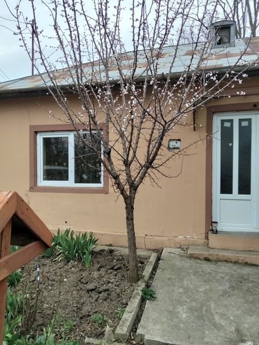 Vând casă Ghizdaru Giurgiu