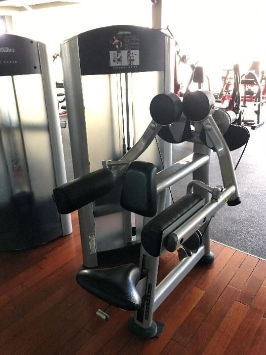 Фитнес уред Life Fitness Signature series lateral raise