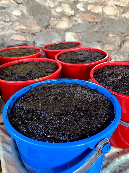 Magiun de prune/ Silvoiță de casă