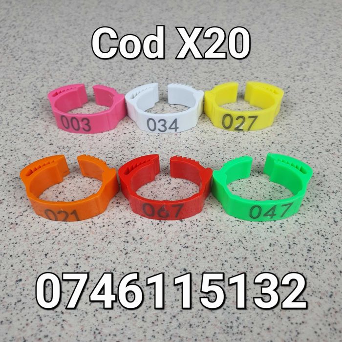 Gaini-Gaste-Marans-Australorp-Brahma-Plymouth - CLEME REGLABILE - X20