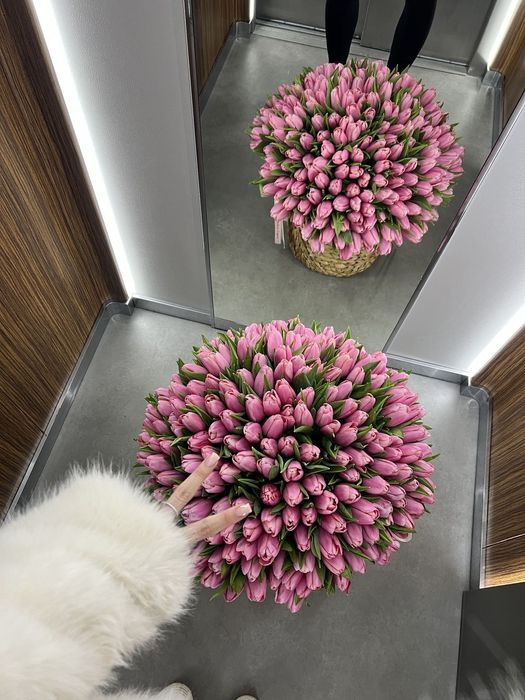 Шикарные тюльпаны оптом !