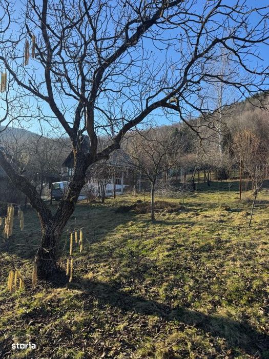 Casa 3 dormitoare, 90 mp, teren 10 ari, zona Firiza