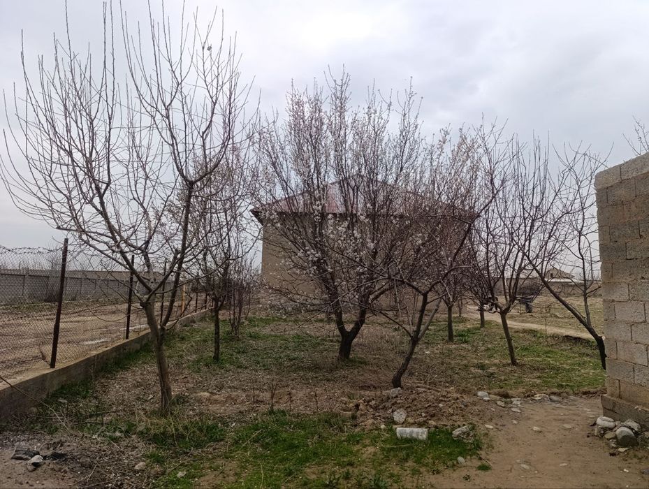 20+20 учаска уйихам бор