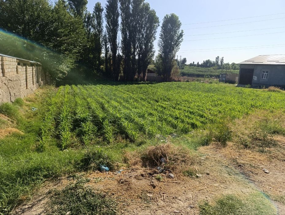 Yer srochni sotiladi 10 sotix qarorda zaxvad 2 sotix