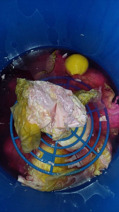 Varza murata de vanzare