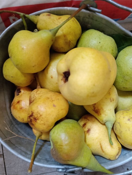 Проддам дачу с/о Химик