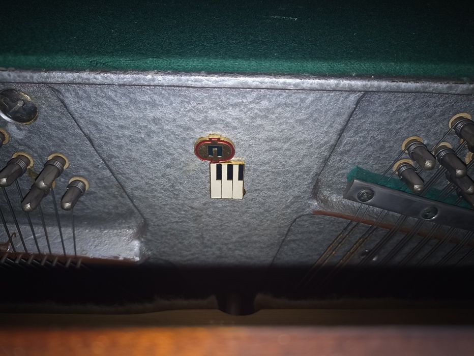 Pionino, Pionina, Pianina, Pianino. BELARUS