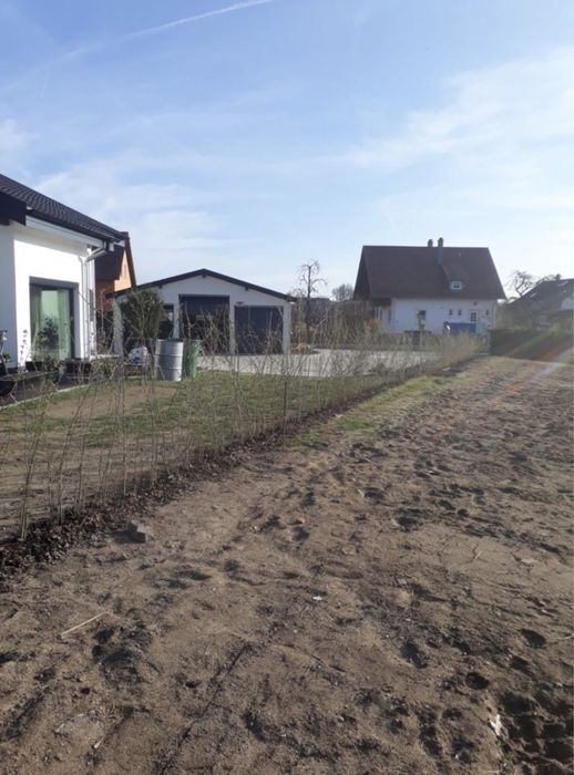 Gard Viu , lemn cainesc