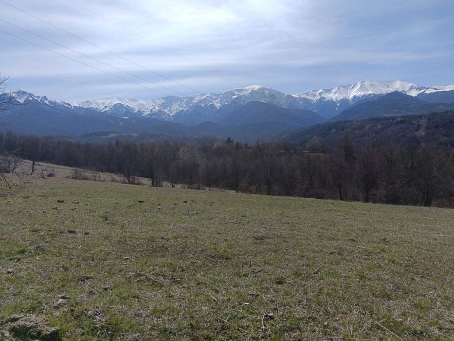 Продава се Парцел в Троян - 2000 кв.м за 8 €/кв.м - Снимка #1