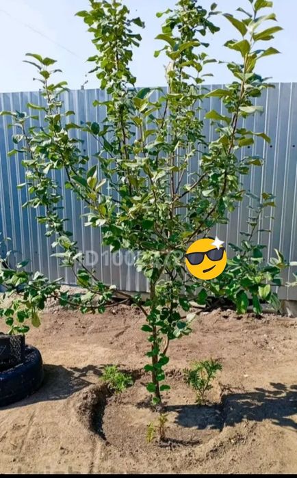 Продам дом  .. Очень теплый . Район ост . Комсомольская.