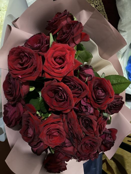 Белые и красные розы