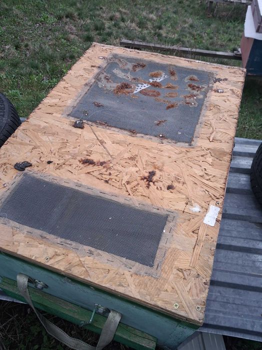 Vand stupi de plastic