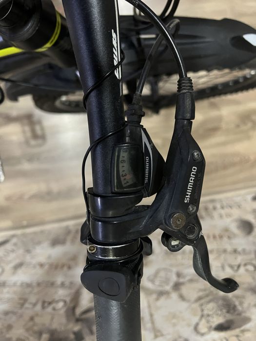 Korea dan olip kelingan velik sotiladi