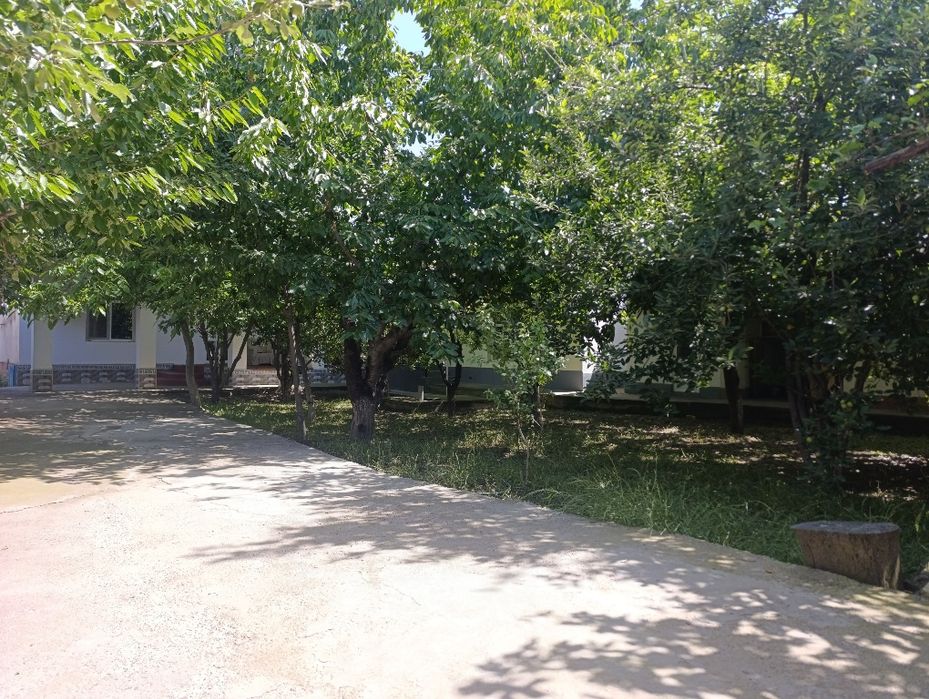 Uy hovli sotiladi
