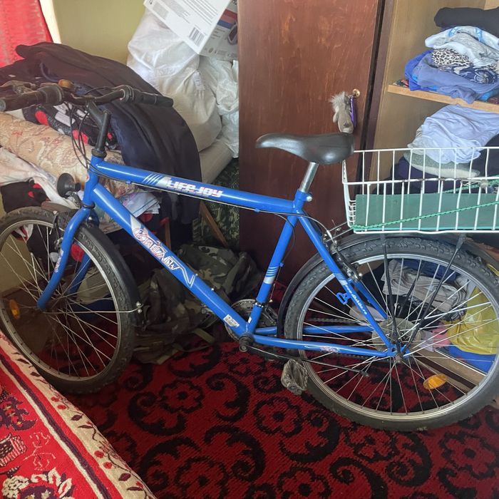 Bicicleta adulti