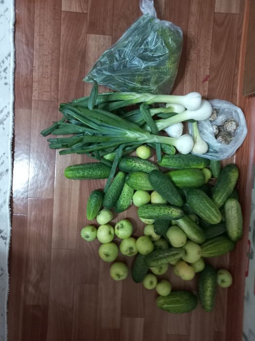 Продам дачу с домиком в районе Кривое озеро